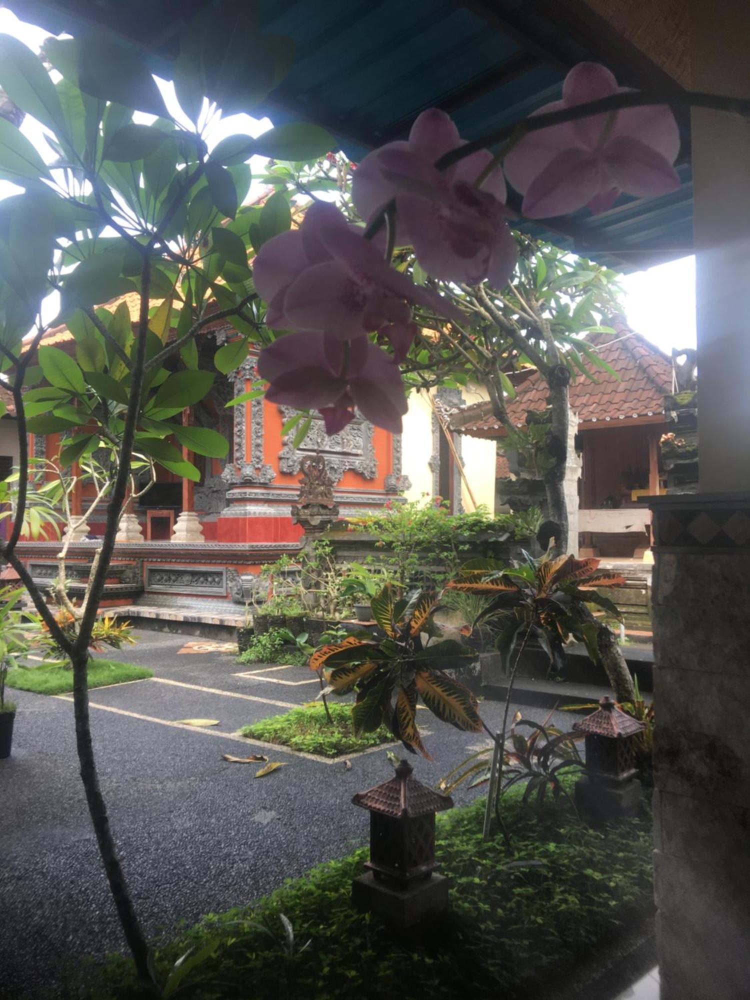 Homestay Artawa House *